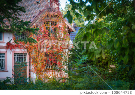 Ivy growing on house exterior during autumn seen through green branches Ivy growing on house exterior during autumn seen through green branches 108644738