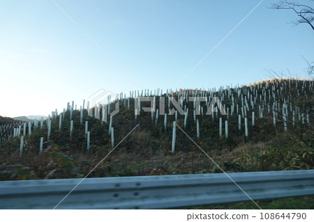 這座位於榛名湖畔的縣立公園是為了紀念昭和天皇和皇后陛下的結婚而出售皇家土地後建立的。 這座位於榛名湖畔的縣立公園是為了紀念昭和天皇和皇后陛下的結婚而出售皇家土地後建立的。 108644790