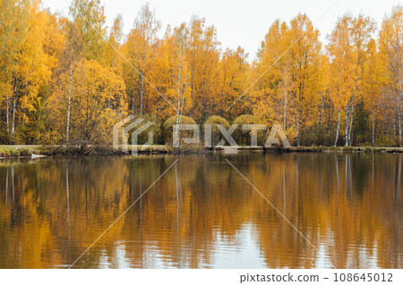 lake in autumn forest trees nature travel walking hiking lake in autumn forest trees nature travel walking hiking 108645012