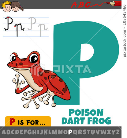 letter P from alphabet with cartoon poison dart frog letter P from alphabet with cartoon poison dart frog 108645466