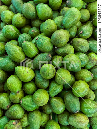 lots of green avocado vitamins healthy food as background delicious food lots of green avocado vitamins healthy food as background delicious food 108645727