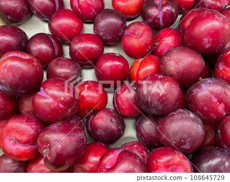 lots of red plum vitamins healthy food delicious food as background lots of red plum vitamins healthy food delicious food as background 108645729