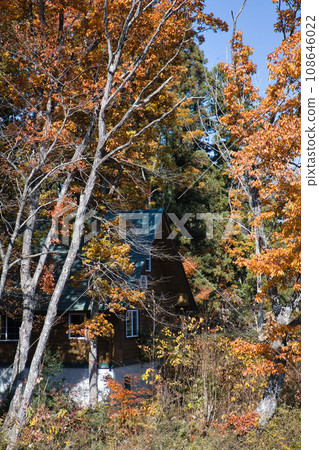 11月的別墅區，紅葉絢麗 108646022