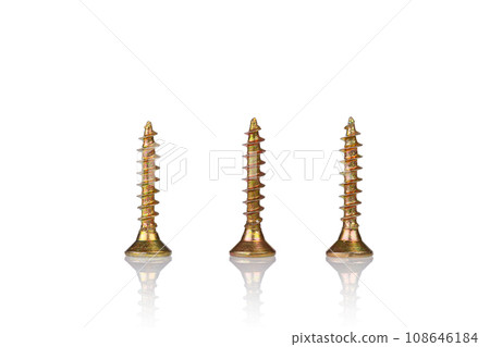 macro screw of golden color on a white background 108646184