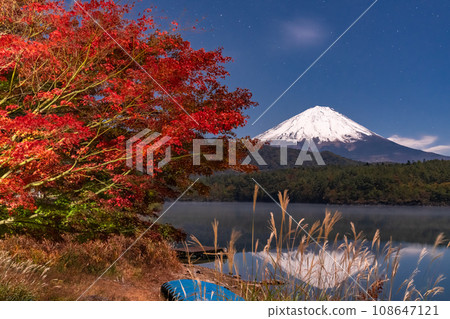 [山梨縣]富士山和西湖的紅葉和月光夜景 108647121