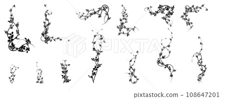 large selection of climbing hawthorn plants vector large selection of climbing hawthorn plants vector 108647201