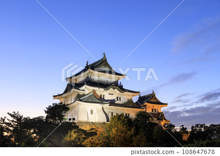 Evening view of Wakayama Castle, Wakayama City, Wakayama Prefecture, illuminated Evening view of Wakayama Castle, Wakayama City, Wakayama Prefecture, illuminated 108647678