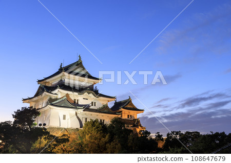 Evening view of Wakayama Castle, Wakayama City, Wakayama Prefecture, illuminated Evening view of Wakayama Castle, Wakayama City, Wakayama Prefecture, illuminated 108647679