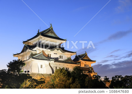 Evening view of Wakayama Castle, Wakayama City, Wakayama Prefecture, illuminated Evening view of Wakayama Castle, Wakayama City, Wakayama Prefecture, illuminated 108647680
