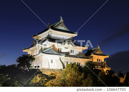 和歌山縣和歌山市 夜間照明的和歌山城 和歌山縣和歌山市 夜間照明的和歌山城 108647705