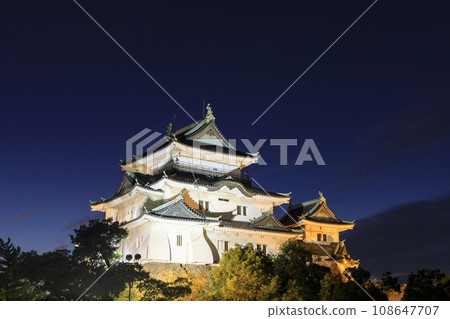Wakayama City, Wakayama Prefecture Wakayama Castle illuminated at night Wakayama City, Wakayama Prefecture Wakayama Castle illuminated at night 108647707