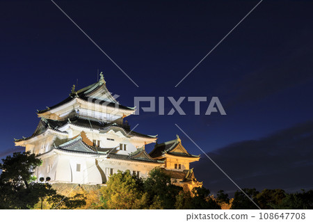 和歌山縣和歌山市 夜間照明的和歌山城 108647708