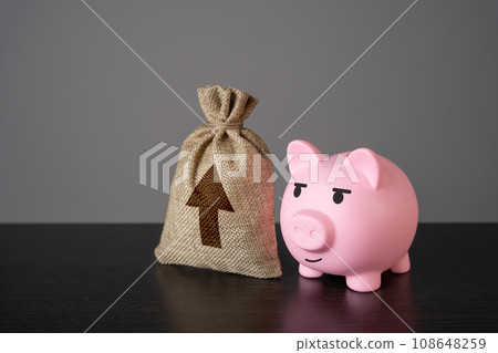 Pig piggy bank and a bag with an up arrow. Growth in profits. Career advancement, improvement and upgrade. Successful business, dynamic development. Take it to the whole new level. Pig piggy bank and a bag with an up arrow. Growth in profits. Career advancement, improvement and upgrade. Successful business, dynamic development. Take it to the whole new level. 108648259
