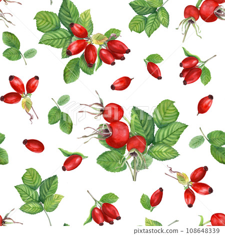 Watercolor seamless pattern with Dog Rose, Brier leaves and branches with berries. Autumn illustration isolated on white 108648339