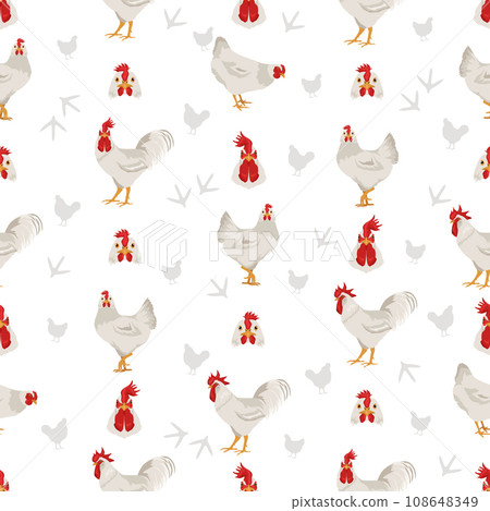 Leghorn Chicken breeds seamless pattern. Poultry and farm animals. Different colors set 108648349