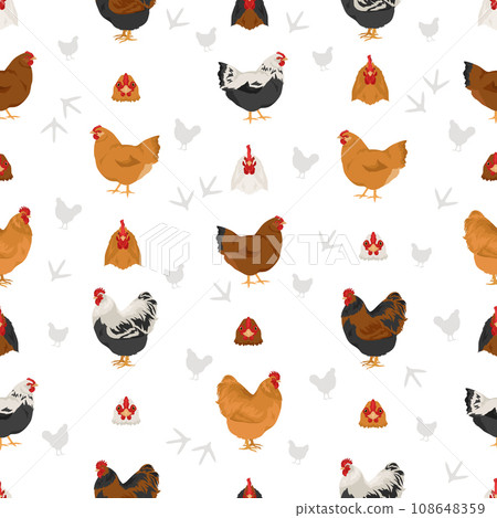 Orpington Chicken breeds seamless pattern. Poultry and farm animals. Different colors set 108648359