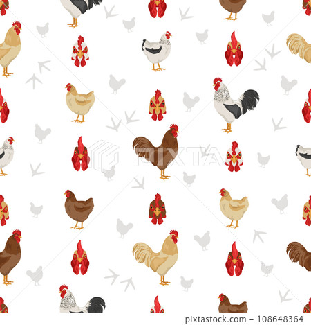 Plymouth Rock Chicken breeds seamless pattern. Poultry and farm animals. Different colors set 108648364