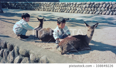 宮島的孩子們與鹿玩耍 108649226