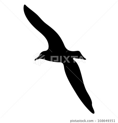 Flying bird realistic silhouette illustration Flying bird realistic silhouette illustration 108649351