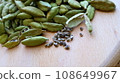 小荳蔻種子 108649967