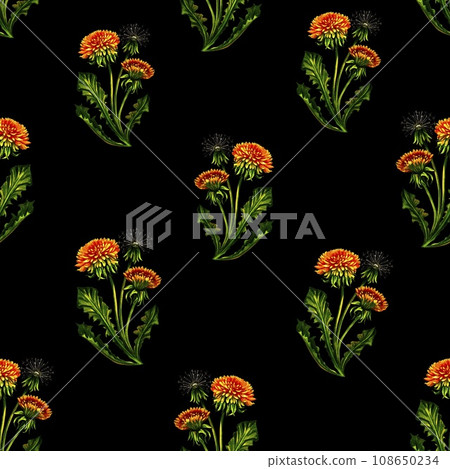 Seamless pattern with dandelions. Watercolor illustration drawn by hand. On a black background. For textiles, packaging and backgrounds. For both wallpaper and printing. Seamless pattern with dandelions. Watercolor illustration drawn by hand. On a black background. For textiles, packaging and backgrounds. For both wallpaper and printing. 108650234