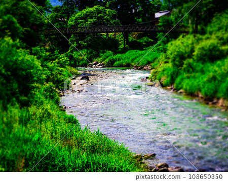 Fresh green forest and river 108650350