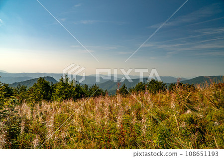 The Bieszczady Mountains, Carpathians, Poland. 108651193