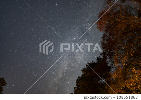 秋葉森林上空的銀河 秋葉森林上空的銀河 108651868