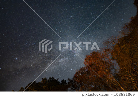 秋葉森林上空的銀河 秋葉森林上空的銀河 108651869