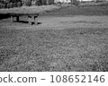 A decayed bench 108652146
