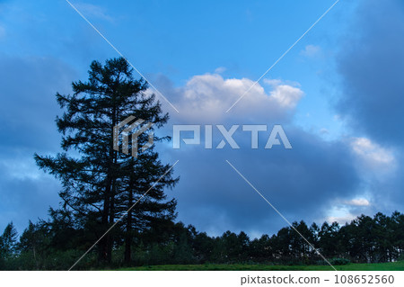 黎明的雲彩 黎明的雲彩 108652560