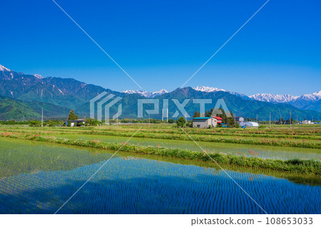 (Nagano Prefecture) Rural landscape of Azumino after rice planting 108653033