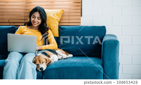 A woman works remotely from her home office, seated on the sofa with her laptop. Her Beagle dog's peaceful sleep adds a touch of friendly charm to the room. Pet love 108653428