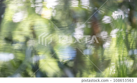 Fresh greenery reflected on the water surface (Oyama Kagami Ganari) Fresh greenery reflected on the water surface (Oyama Kagami Ganari) 108653563