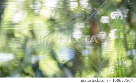 Fresh greenery reflected on the water surface (Oyama Kagami Ganari) 108653564