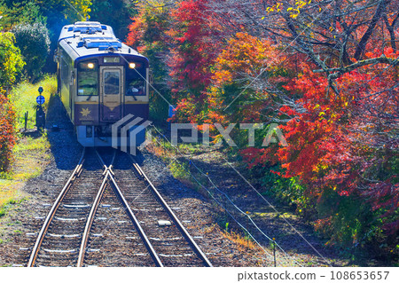 Autumn leaves and Watarase Valley Railway 2 Autumn leaves and Watarase Valley Railway 2 108653657