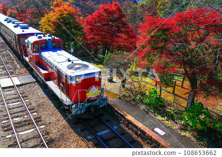 Autumn leaves and trolley train 2 108653662