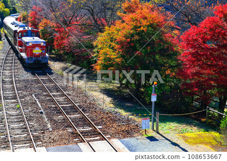Autumn leaves and trolley train 5 108653667