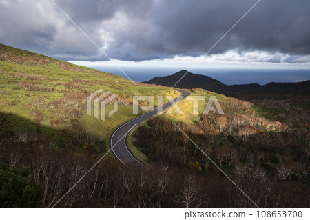 Shiretoko色的葉子橫穿路 Shiretoko色的葉子橫穿路 108653700