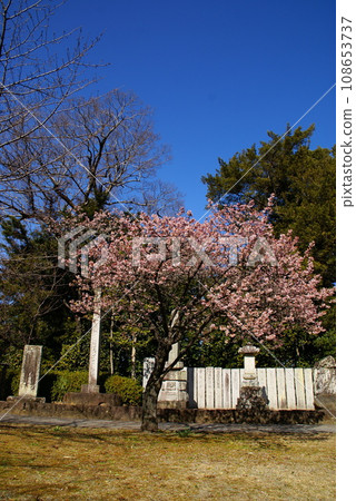 Kozanji Temple/Kazakura Kozanji Temple/Kazakura 108653737