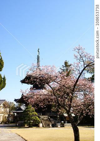 Kozanji Temple/Kazakura Kozanji Temple/Kazakura 108653738