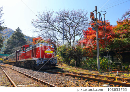 Autumn leaves and Watarase Valley No. 2 108653763