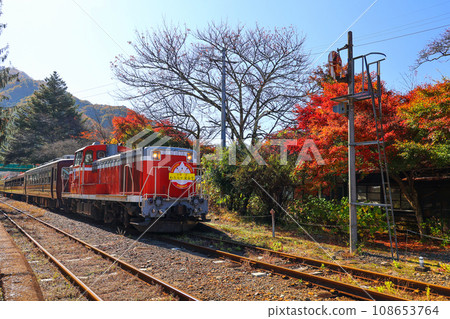 Autumn leaves and Watarase Valley No. 3 108653764
