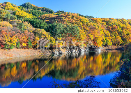Autumn leaves reflection 2 108653982