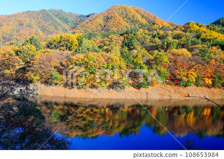 Autumn leaves reflection 4 108653984