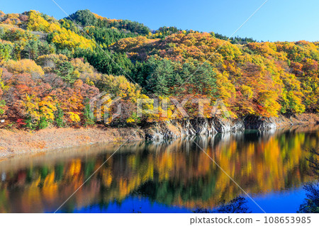Autumn leaves reflection 5 Autumn leaves reflection 5 108653985