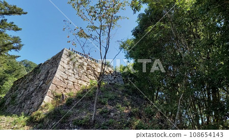 Japan's 100 Famous Castles, Bicchu Matsuyama Castle, Chutaiko Tower Ruins Japan's 100 Famous Castles, Bicchu Matsuyama Castle, Chutaiko Tower Ruins 108654143