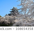 Sunomata Castle castle tower and cherry blossoms in full bloom (Sunomata Ichiya Castle, Ogaki City, Gifu Prefecture) 108654358