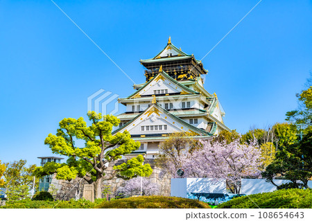 Osaka Castle, cherry blossoms and castle tower in full bloom Osaka Castle, cherry blossoms and castle tower in full bloom 108654643