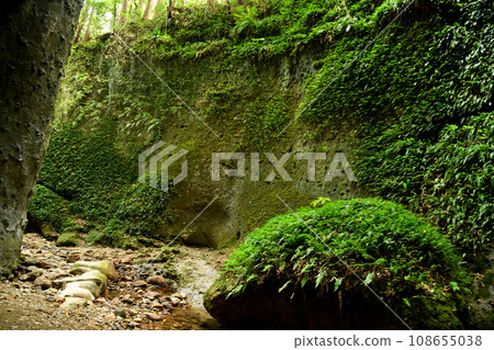 Iogi Cave [Iogi, Aki City, Kochi Prefecture] 108655038